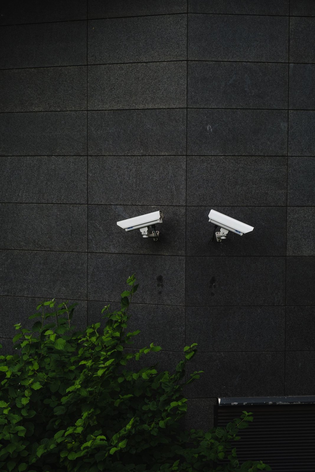 Outdoor security cameras
